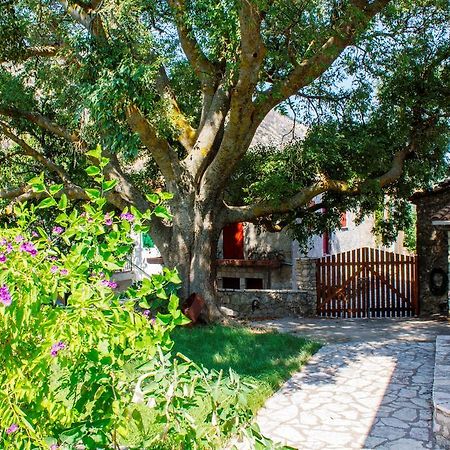 Menelia Cottage Platístoma 部屋 写真